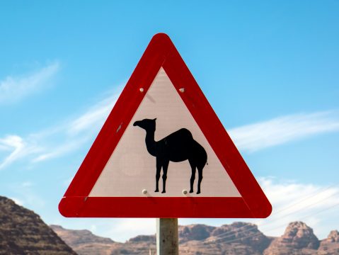 Dopravná značka pozor ťavy